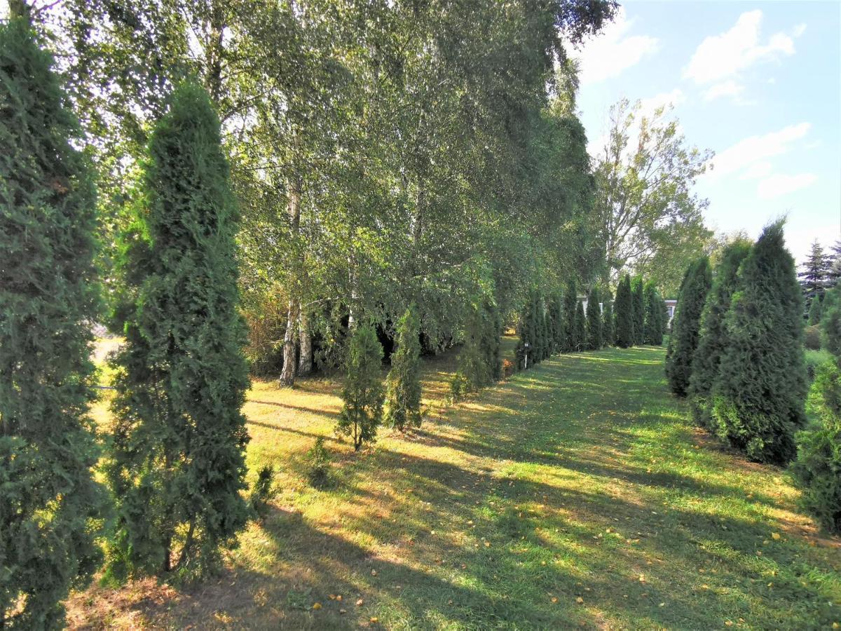 Brzozowe Zacisze Villa Lagow  Bagian luar foto