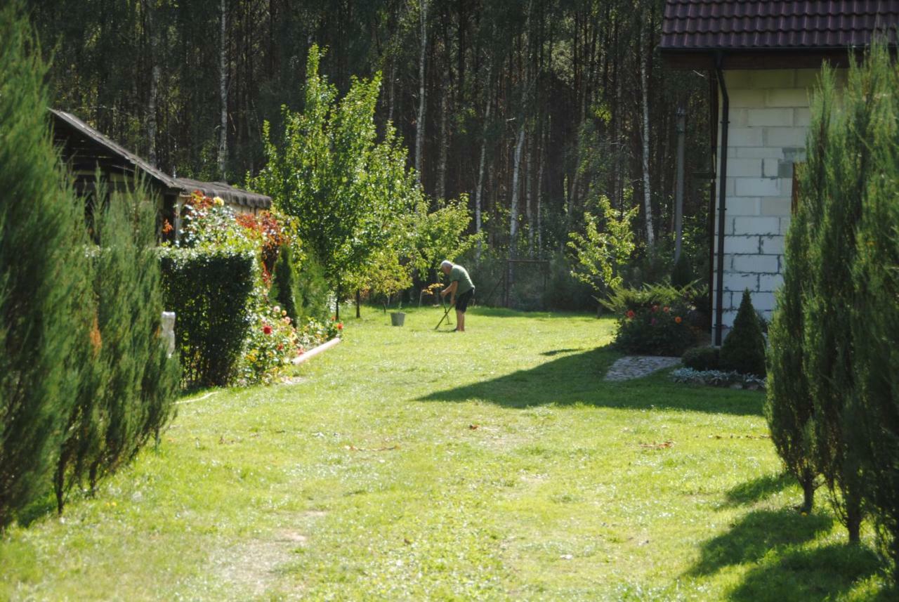 Brzozowe Zacisze Villa Lagow  Bagian luar foto
