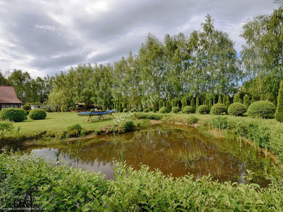 Brzozowe Zacisze Villa Lagow  Bagian luar foto